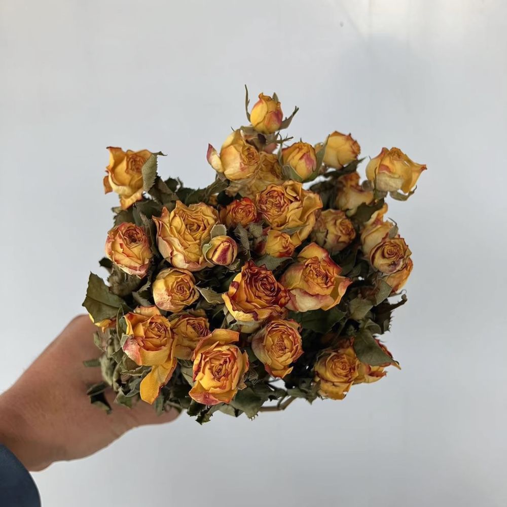 Echte, geconserveerde rozen, g - Resin Art Rose recensie en prijs