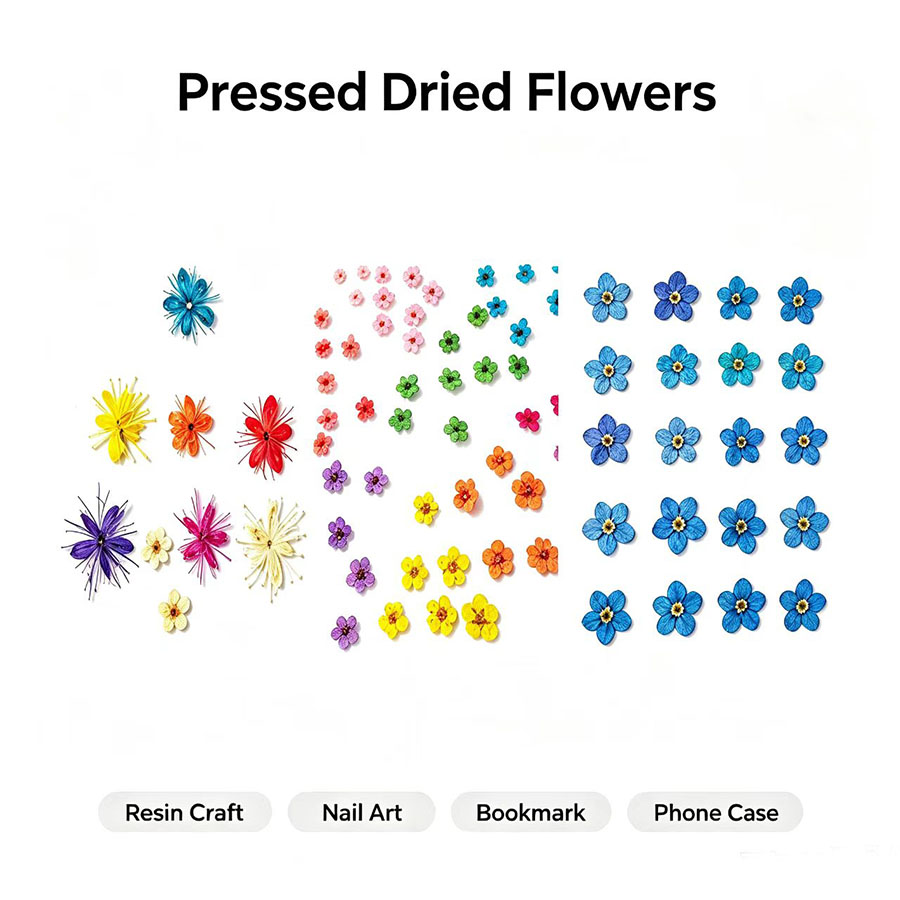 60 stuks gedroogde bloemen – k - Resin Art Baby recensie en prijs