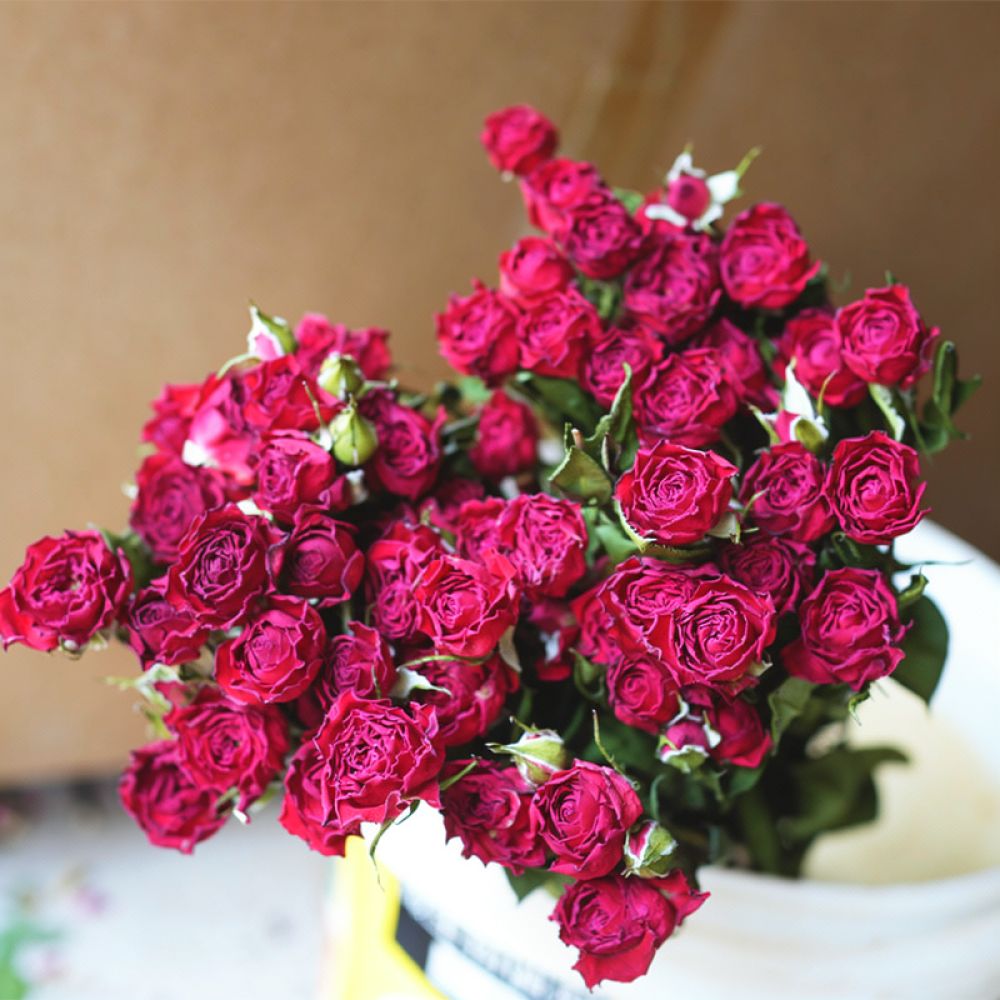Natuurlijk geconserveerde, ged - Resin Art Rose recensie en prijs