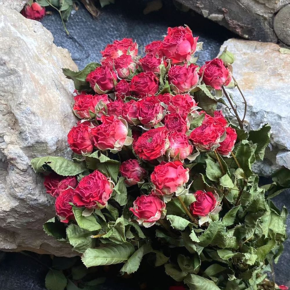 Natuurlijk geconserveerde, ged - Resin Art Rose recensie en prijs